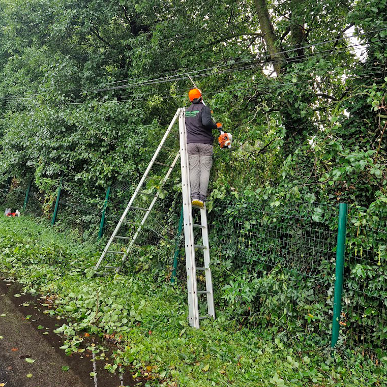 Travaux divers d'élagage & abattage - Photo 15