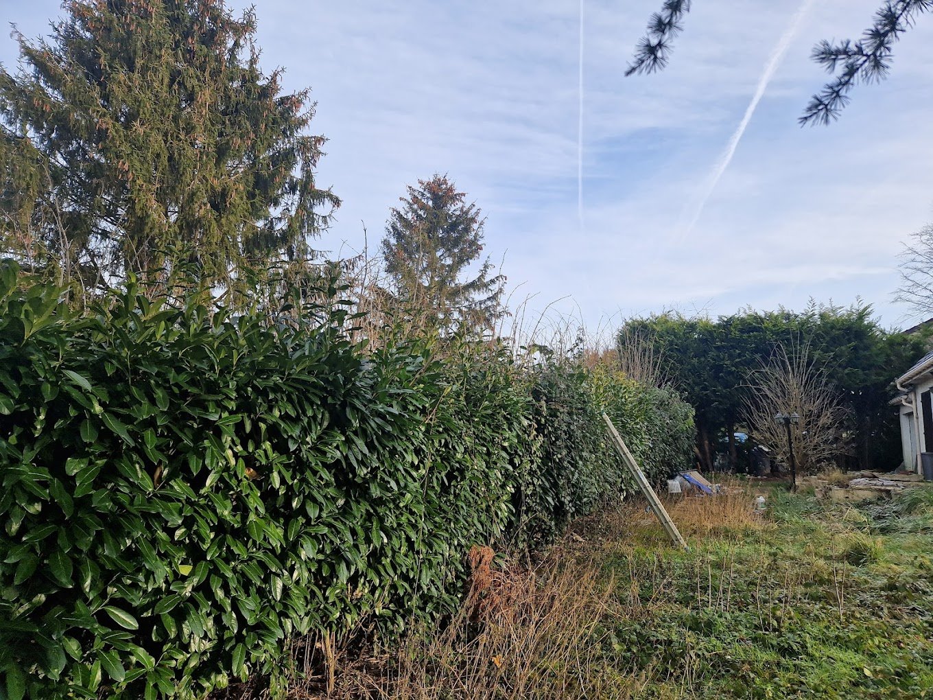 Travaux divers d'élagage & abattage - Photo 9