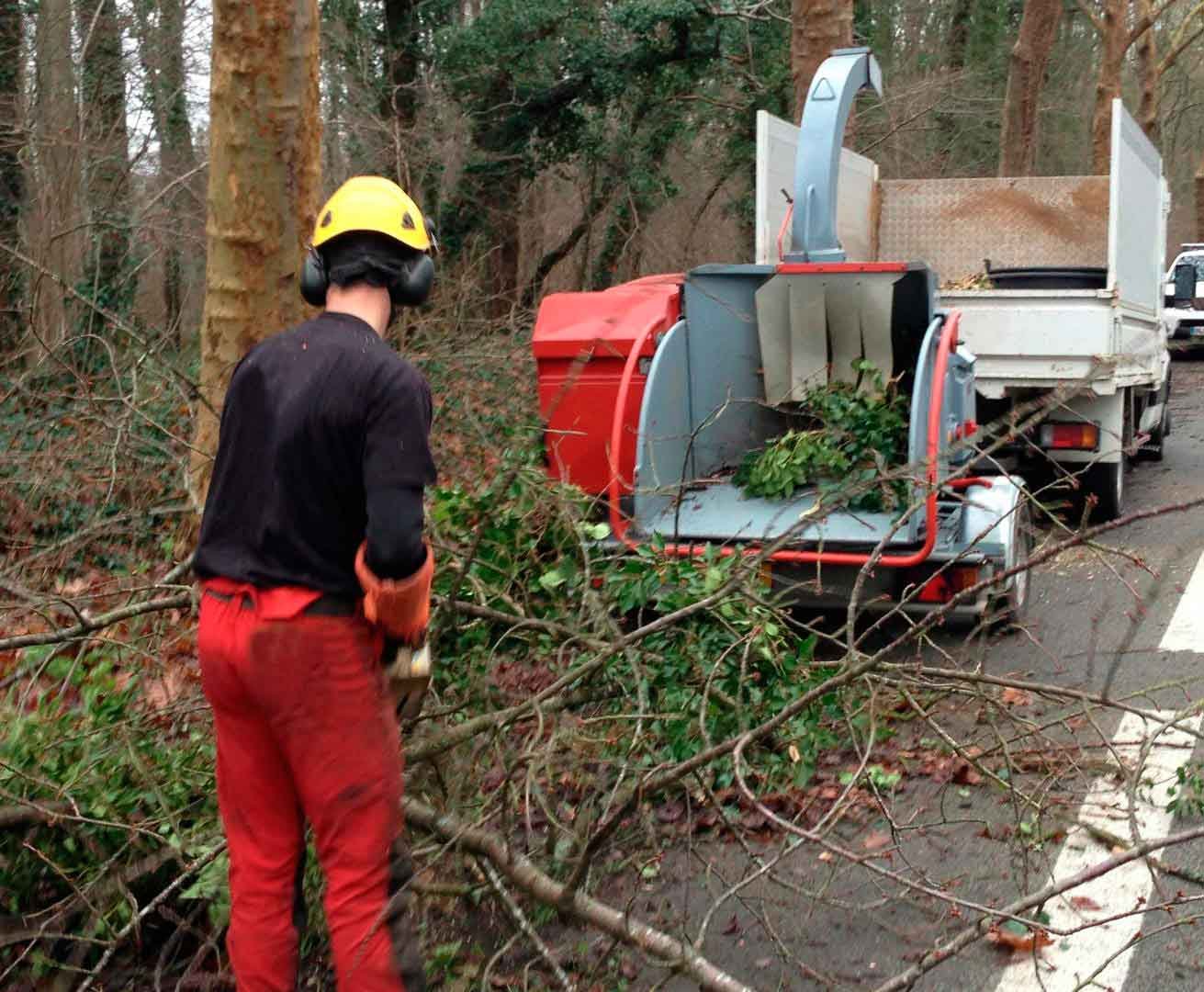 Évacuation & broyage des végétaux